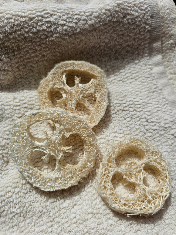 Munkholm - Munkholm Loofah
